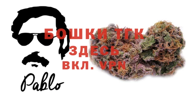 тгк Арсеньев