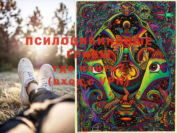 бошки Аркадак