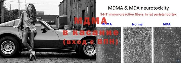 бошки Аркадак